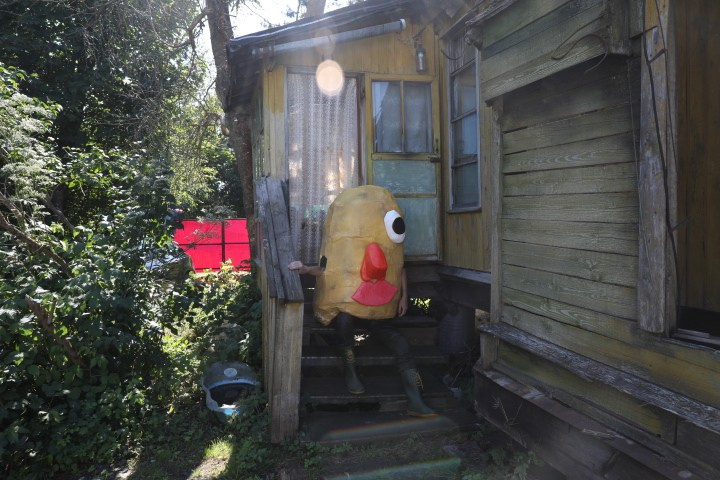 Окартофливание. Портретный фотограф Ванинен Анастасия. Санкт-Петербург