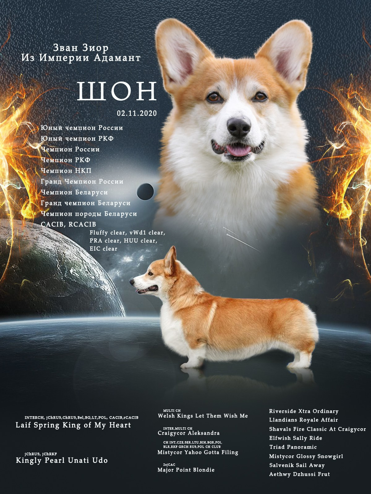 Презентации. Фотограф — анималист в Туле Юлия Лето