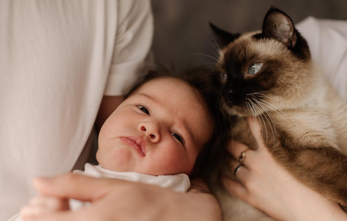 Домашняя фотосессия. Семейный фотограф Тюмень