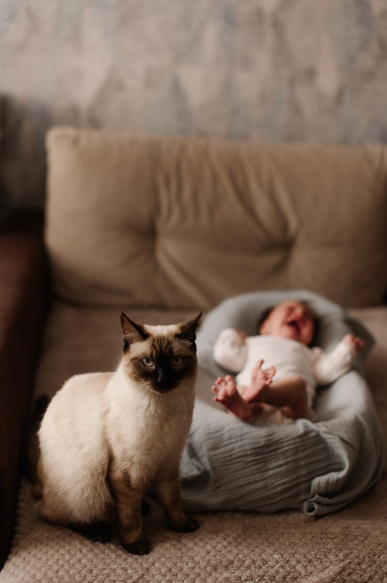 Домашняя фотосессия. Семейный фотограф Тюмень