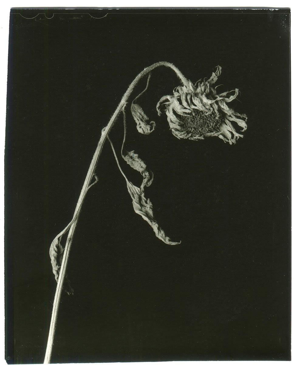 Книга Вика Бакина (Vic Bákin) «Epitome». Private image