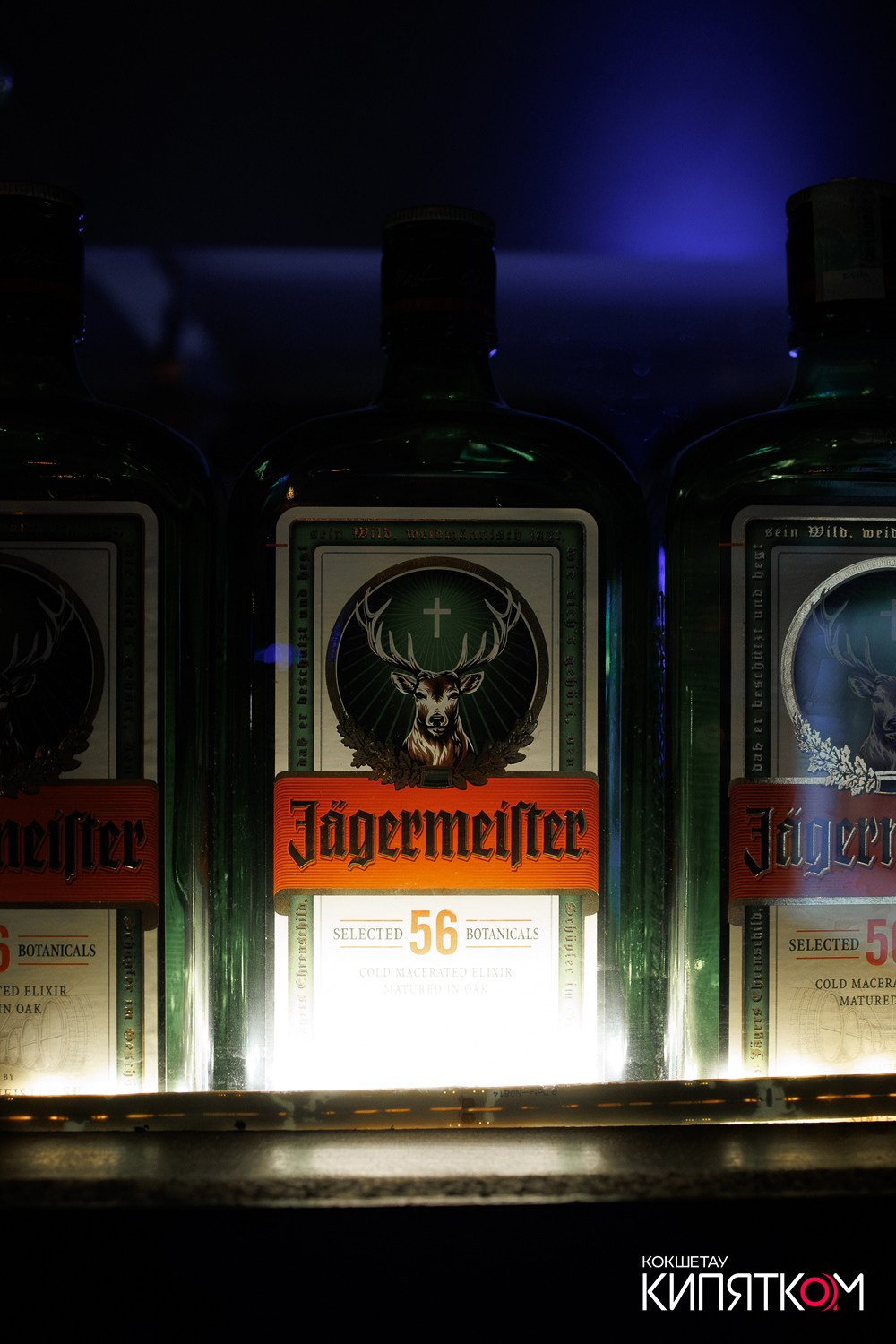 WOW QUIZ. КИПЯТКОМ КОКШЕТАУ