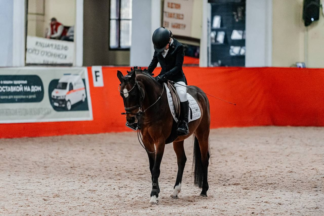 ОСЕННИЙ КУБОК КЦ «ИЗМАЙЛОВО», тренерская дуэль 5 этап. Куракина Дарья • Конный фотограф