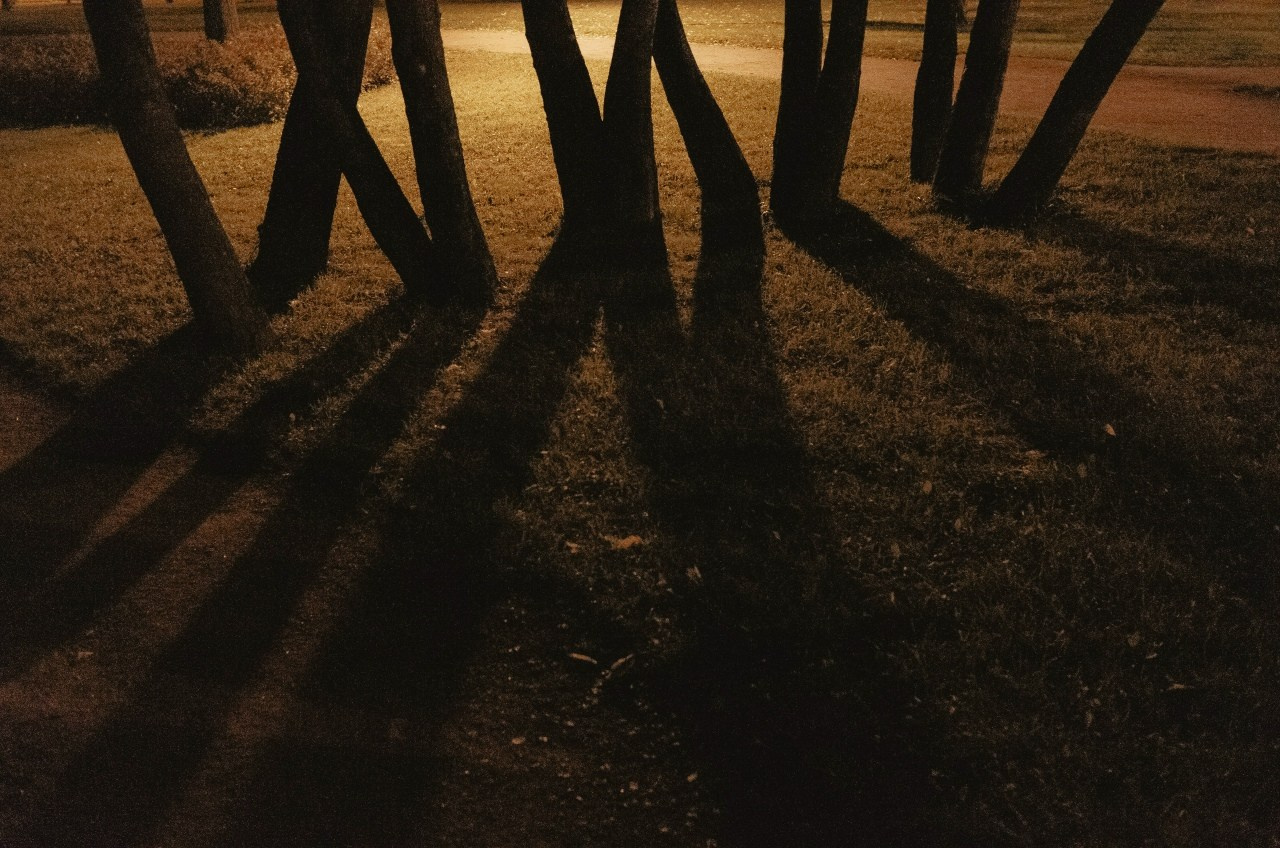 Night 2017-2022. Фотограф Cyberkyrie