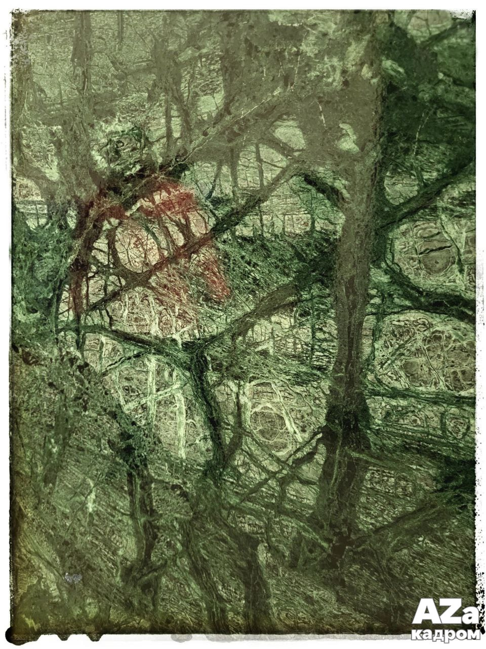 Фотофанты 02.02.2026. Женский семейный фотограф Тула Москва Захарова Анна