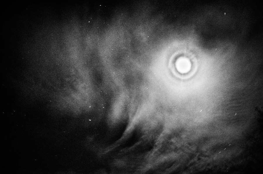 Summer Shore. Vitaly Severov