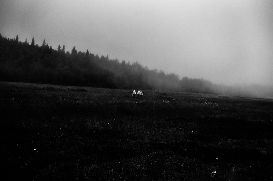 Summer Shore. Vitaly Severov