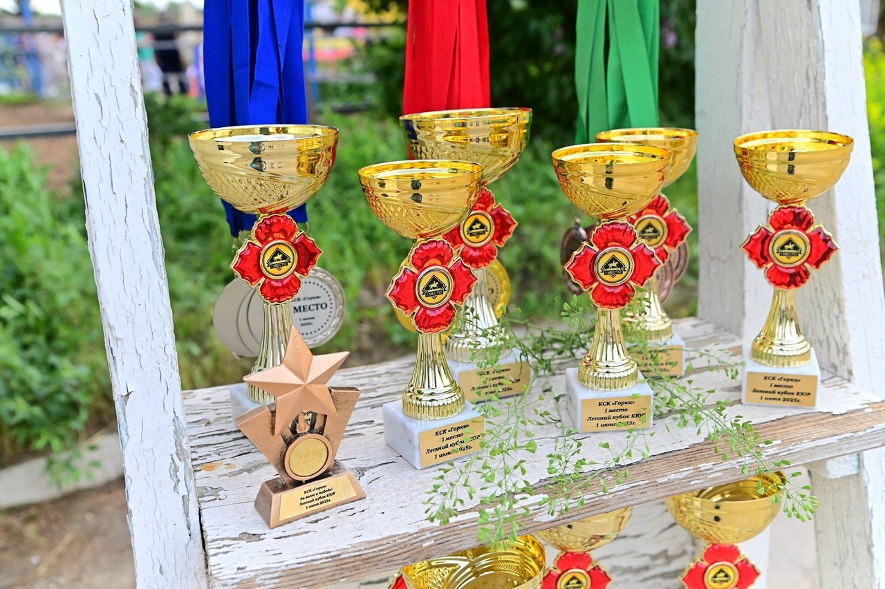 Отзывы. ТУРНИРНАЯ КОННАЯ ФОТОГРАФИЯ, Руднева Ольга и Евгений Адеев