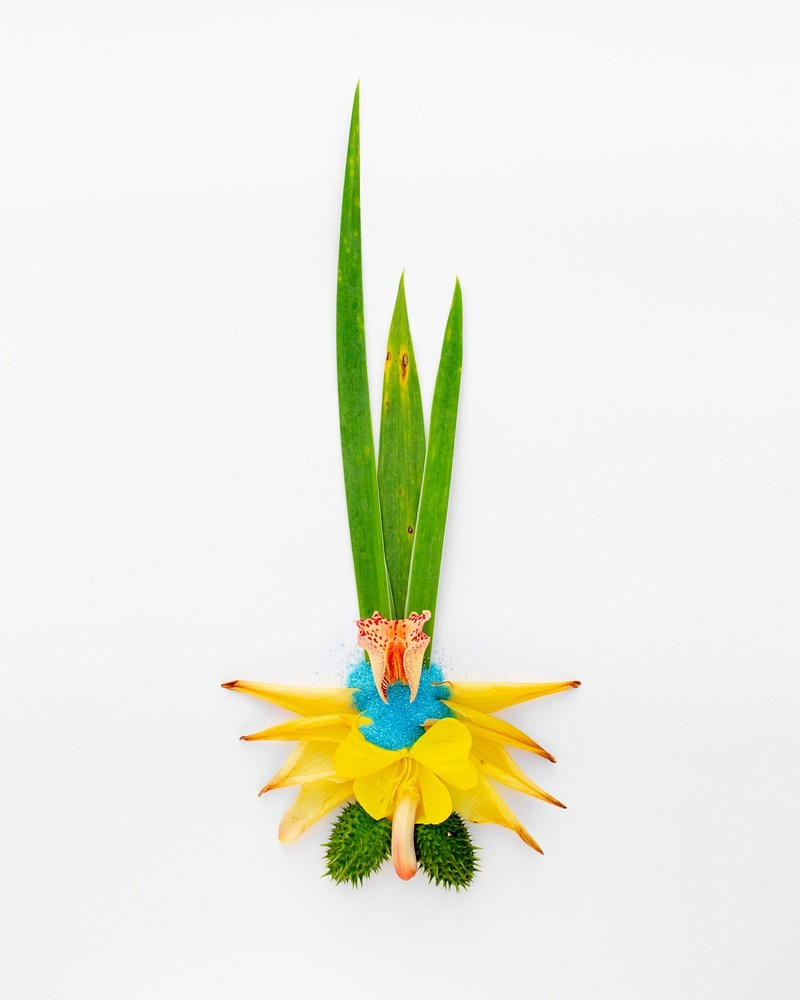 Острые предметы. Фотографии Саши Любина