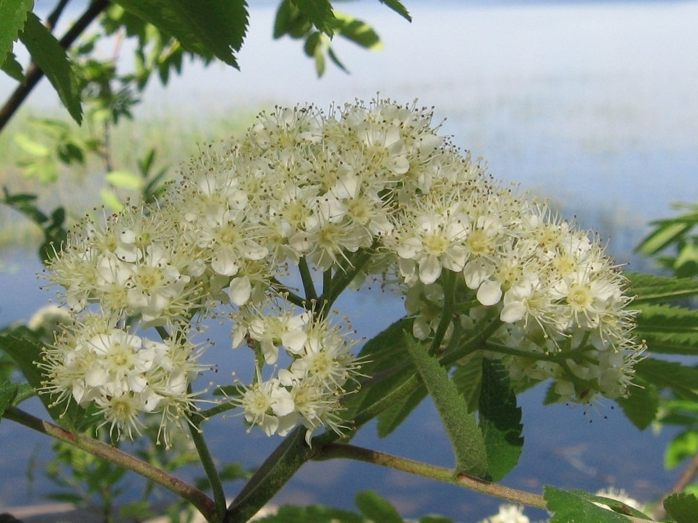весна на Балтике, Весна в Калининграде, жилье у моря на Балтике, погружение внутрь себя, коттедж на берегу моря, отдых в Калининграде