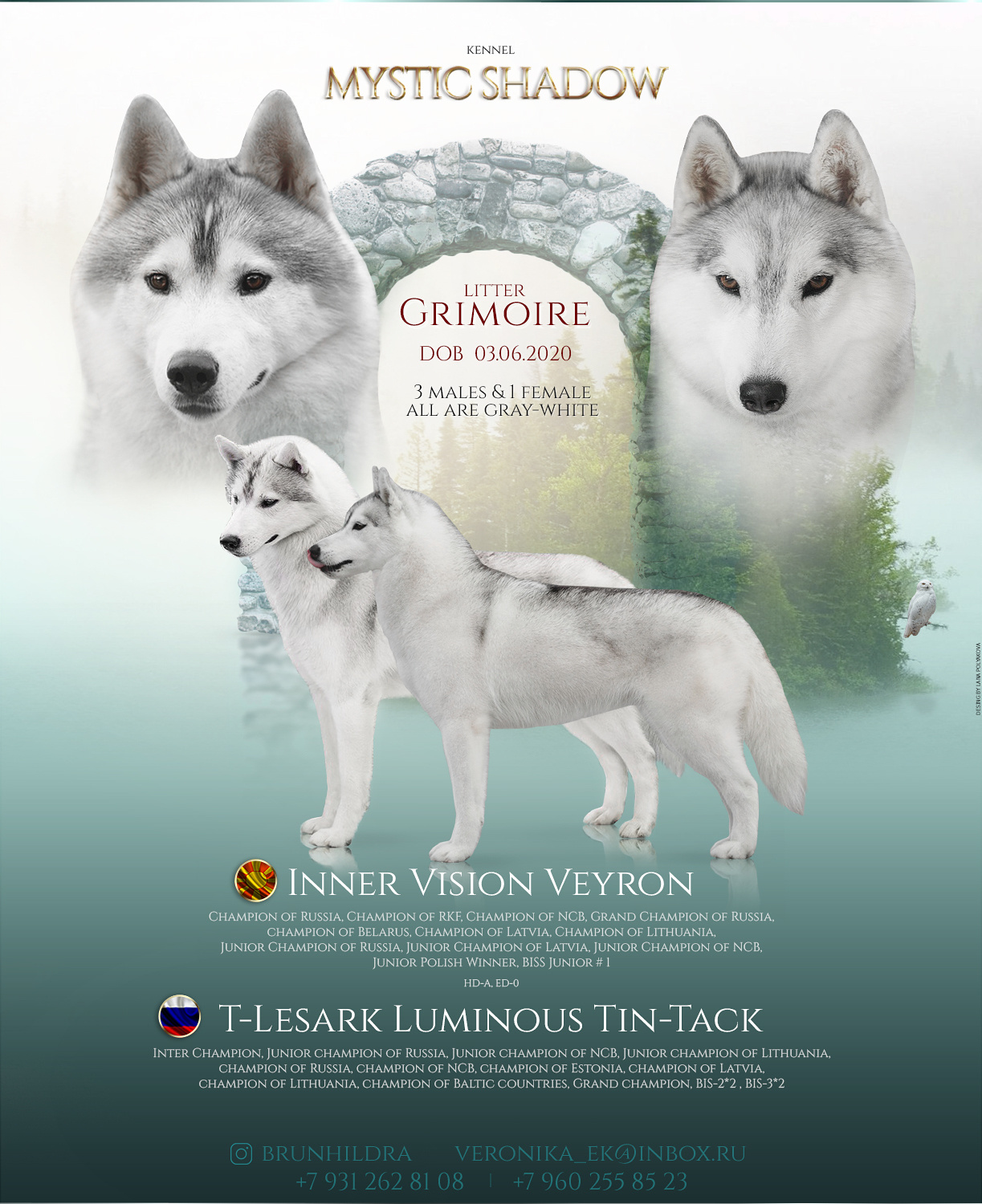 Презентация помета хаски