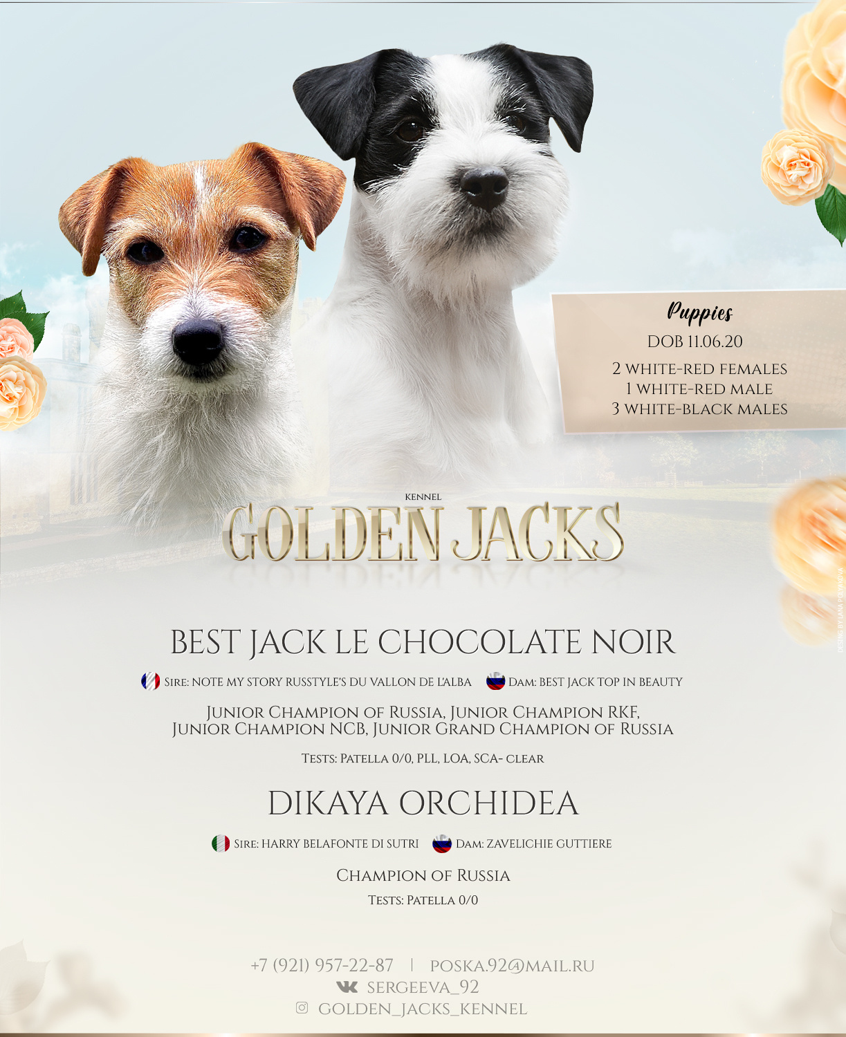 Презентация помета дрт