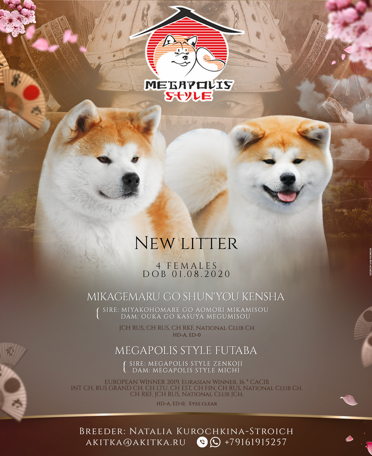 Презентация помета акит