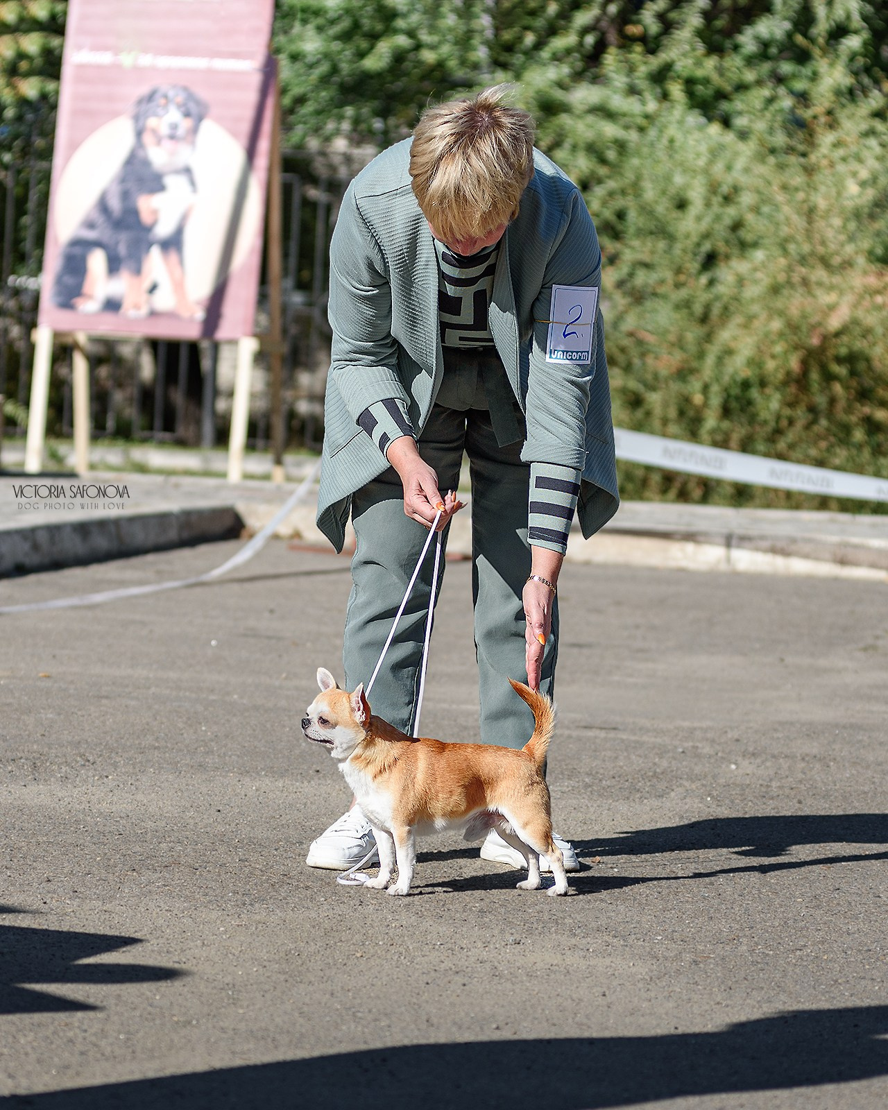 23 сентября 2023 Благовещенск. Фотограф анималист Благовещенск. Сафонова Виктория