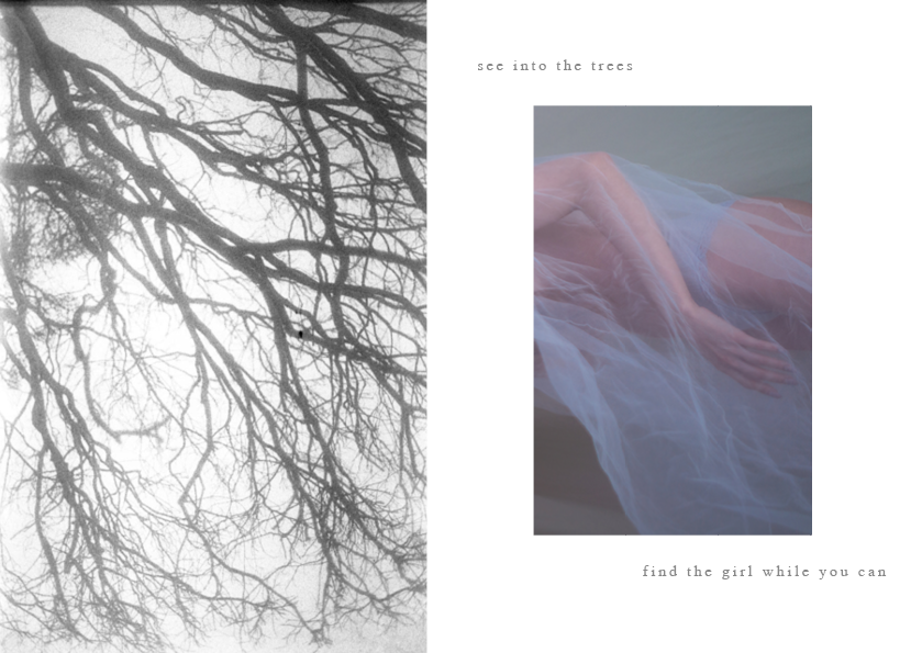 See into the trees — zine. Pictorial dream — fine art fil photography by Yaroslav Pavlov