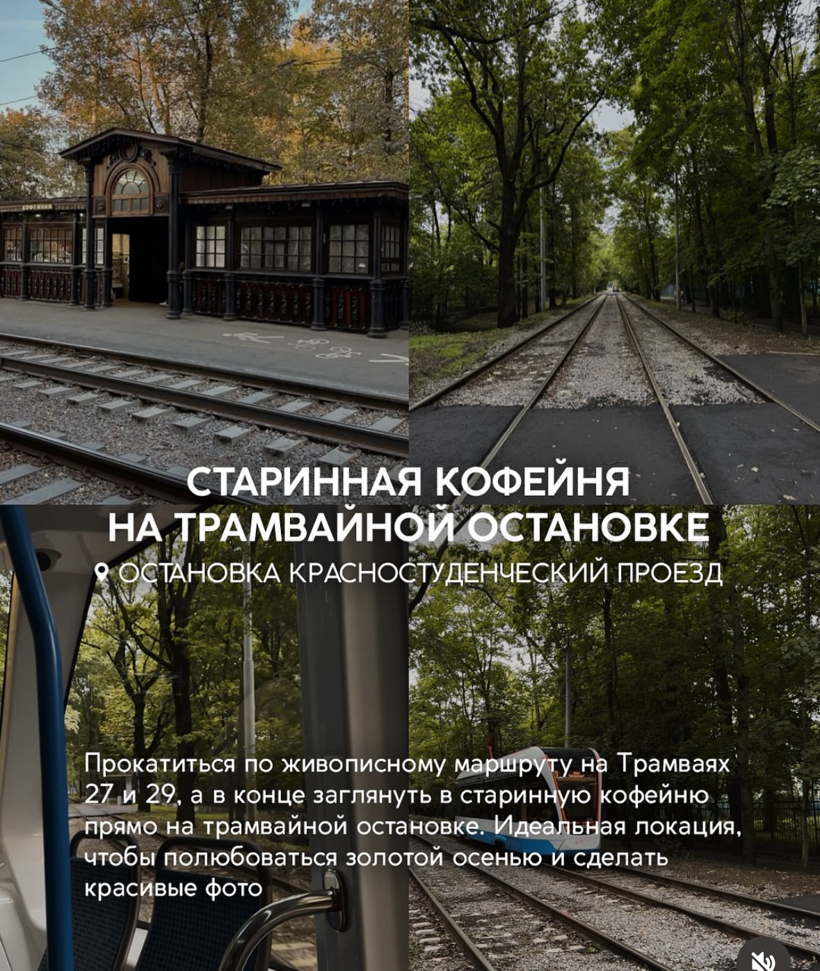 Для уличных фотосессий. Фотограф Александра Сыщенко