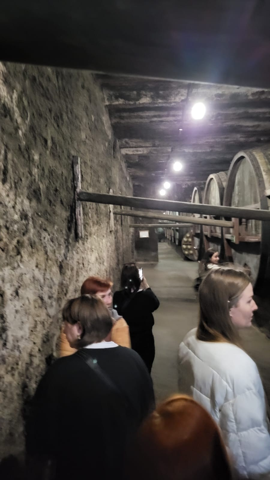 Армения | 16-19.11.2023. Галерея Фантим