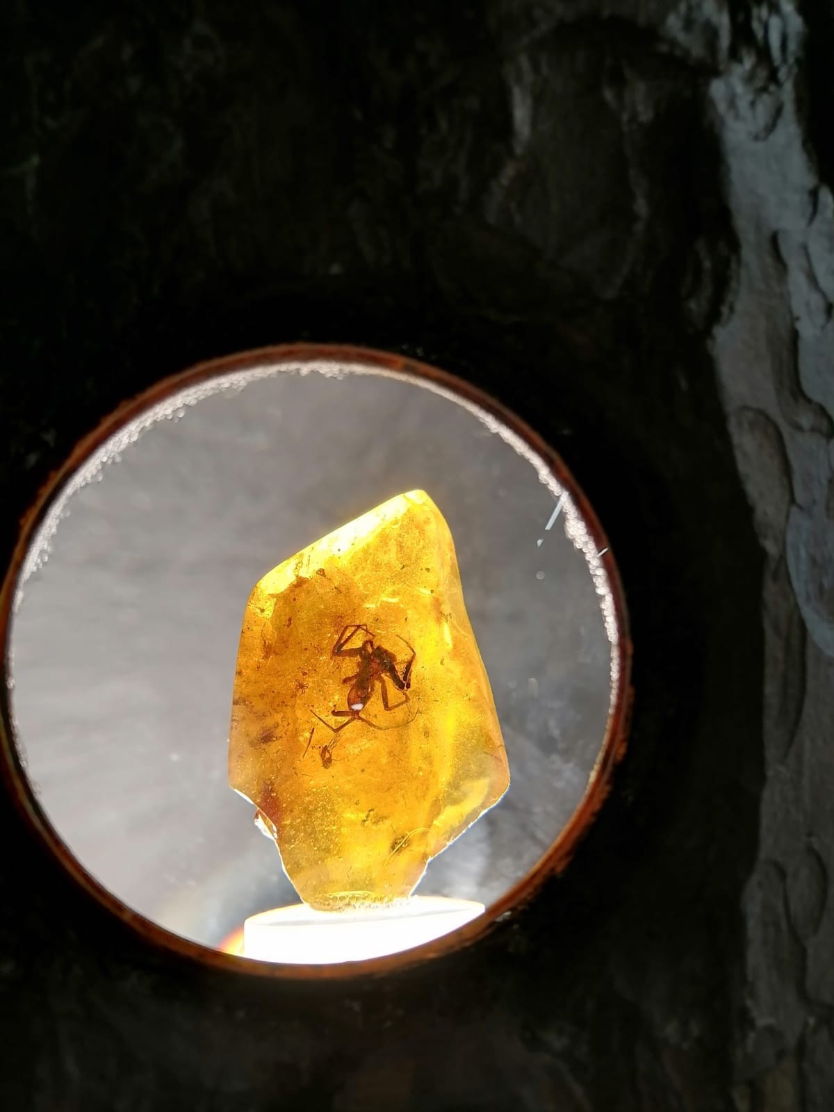 Калининград | 05-08.10.2023. Галерея Фантим