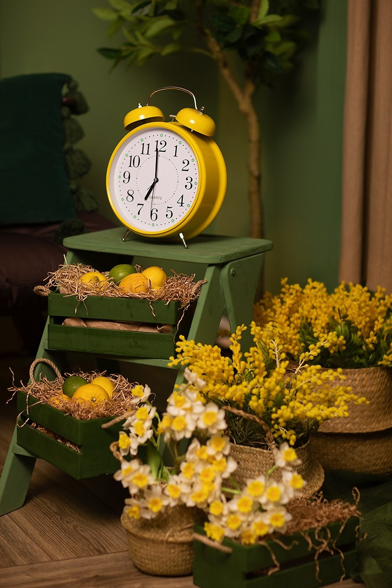 Green (Станке-Димитрова, 54а, БЦ Десна). Портретный, семейный, свадебный фотограф в Брянске Маргарита Василькова