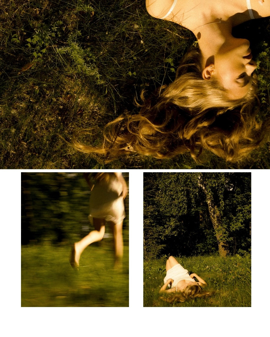 FOREST'24. Фотограф Нижний Новгород