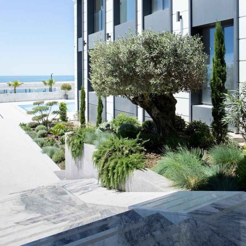 Отели для свадьбы в Сочи. Фотограф Москва. Шульгинова Ольга