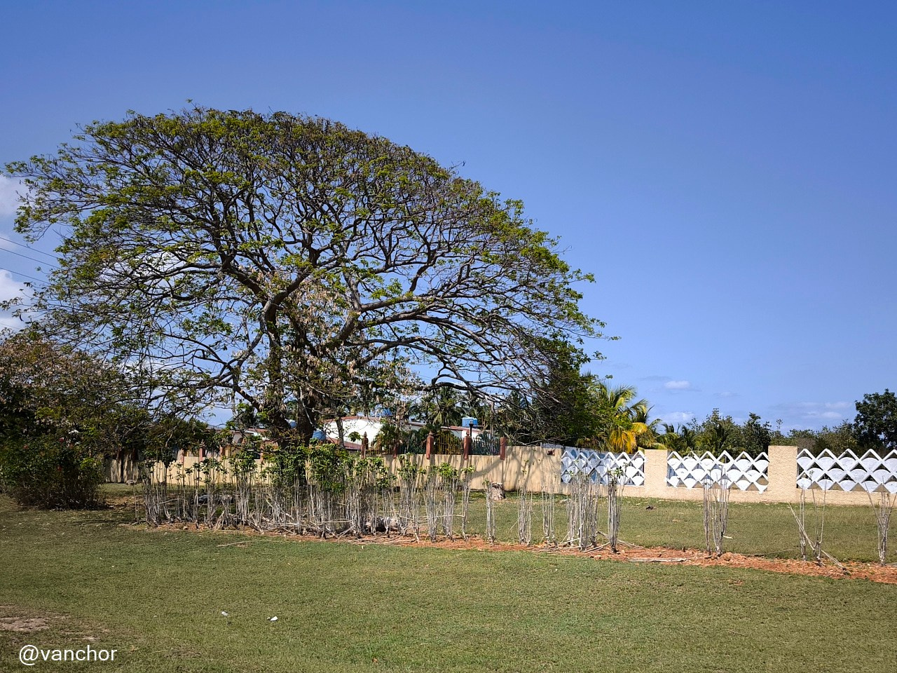 Кубинские зарисовки. Объектив бродяги