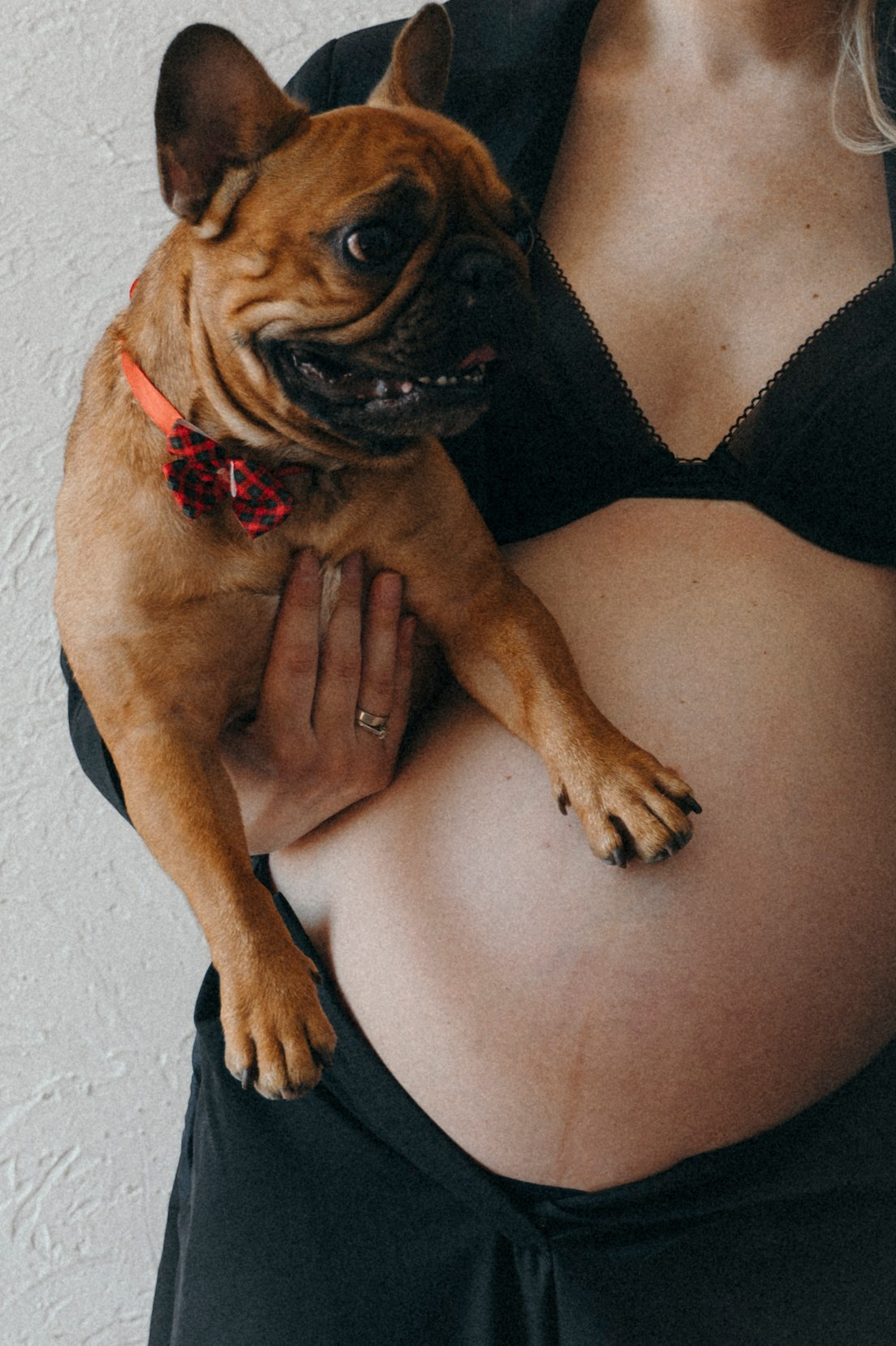 Беременность. Фотограф новорожденных и беременых в санкт-петербурге Юля Лампа