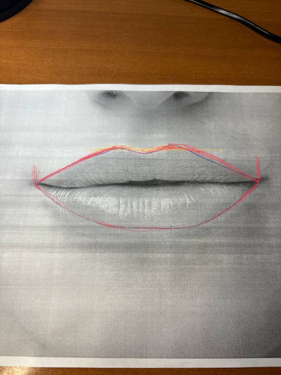 Обучение. Перманент PigmentLab Olga