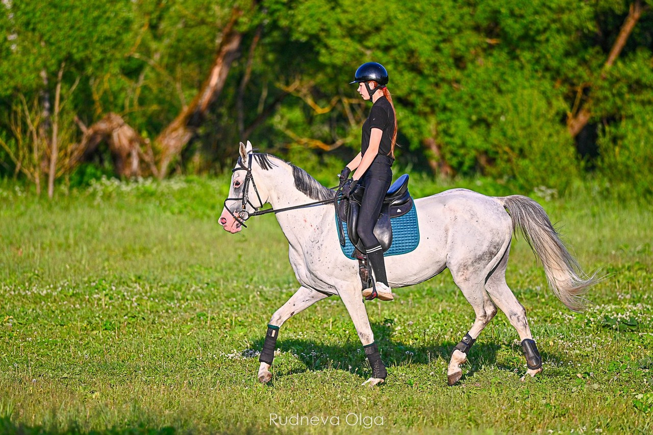 Отзывы. ТУРНИРНАЯ КОННАЯ ФОТОГРАФИЯ, Руднева Ольга и Евгений Адеев