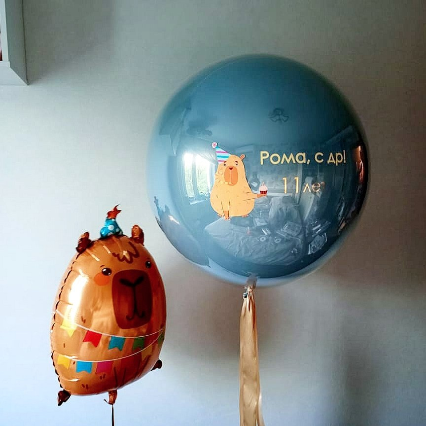 Мальчику на день рождения с 4 -17 лет. Аэродизайнер Елена Лин