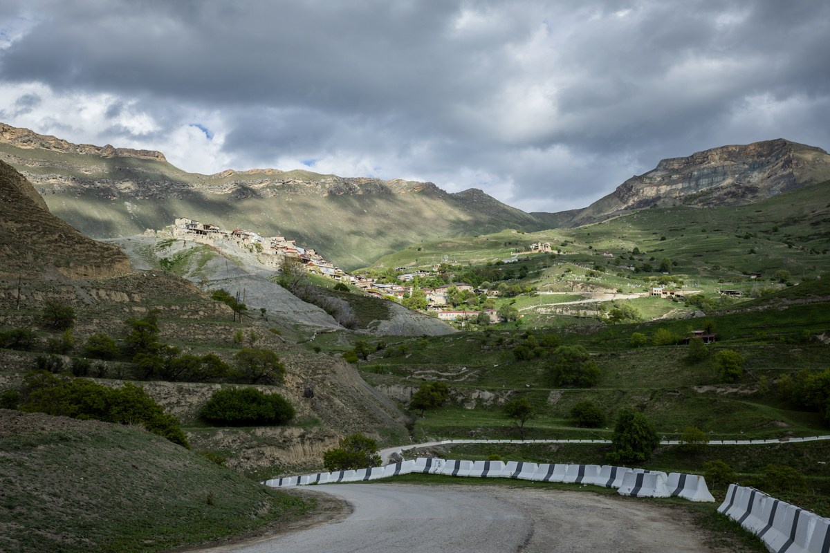 Природа. Photomantis