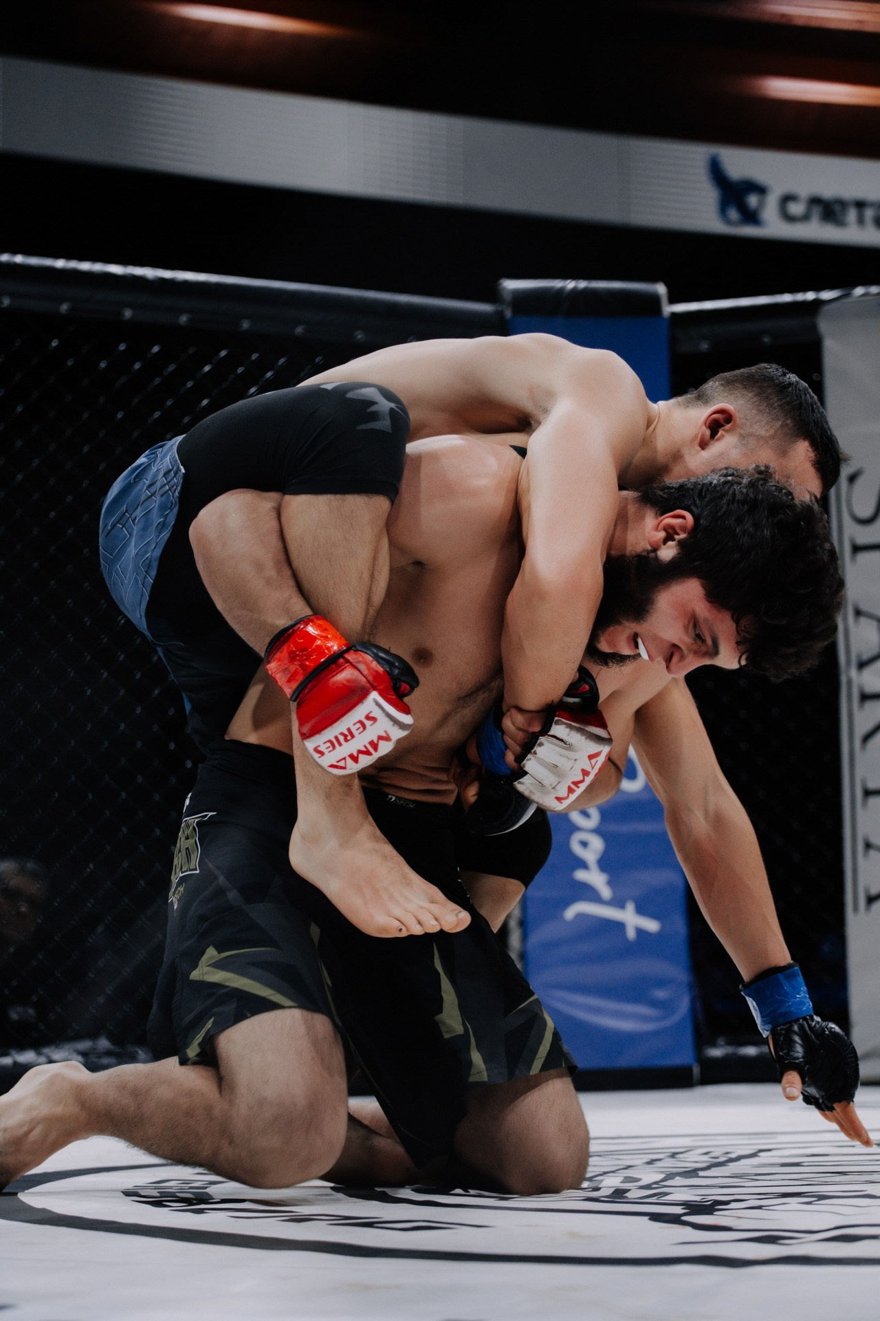 KINGDOM PROFESSIONAL FIGHT 5. Photographer — ERASTOV