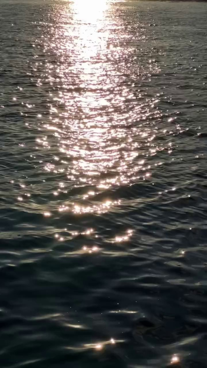 Видеопрактика для фотографов и мам — 01.07.2026. Фотограф и видеограф Елена Лисина