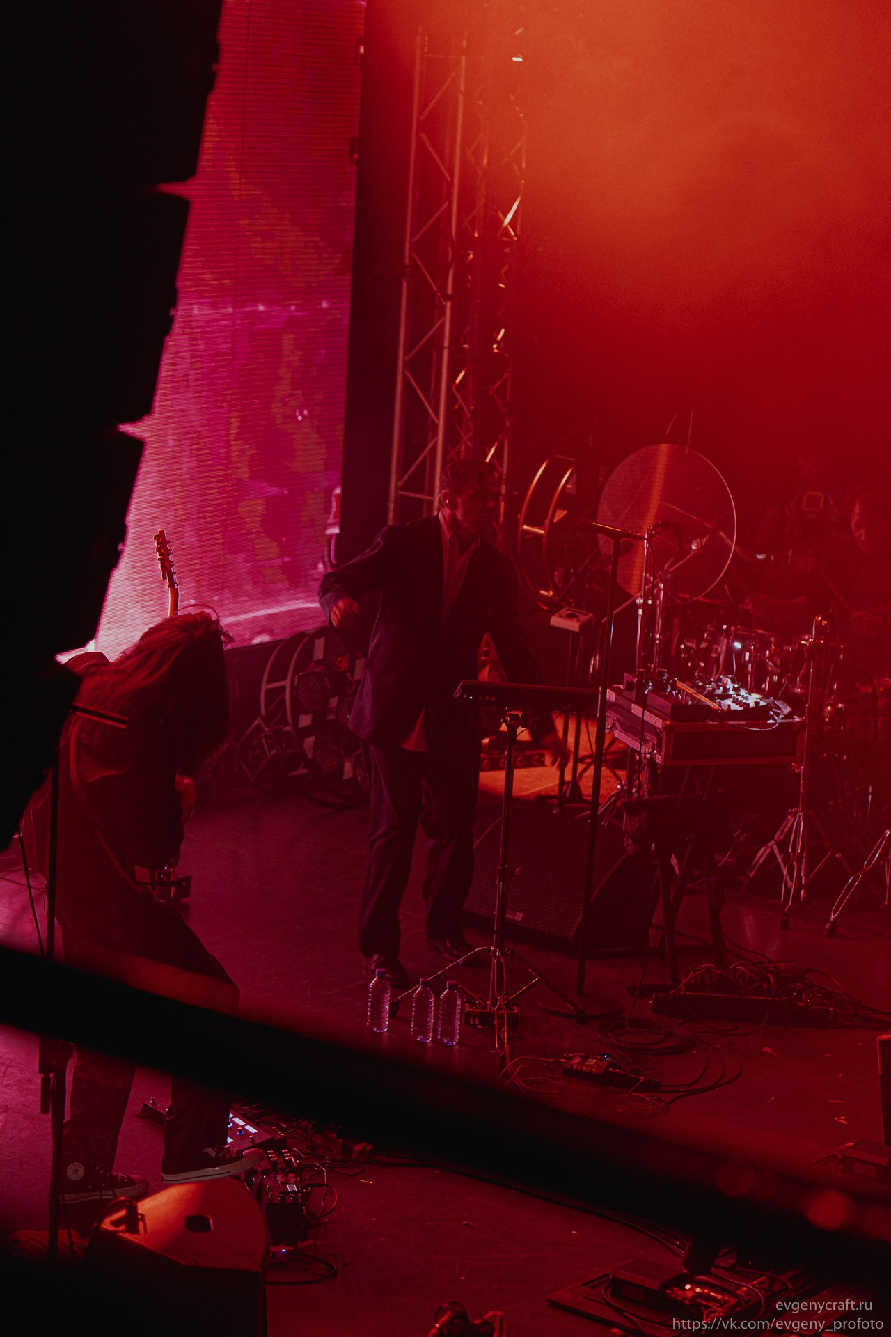 Dolphin 14 feb 2026. EvgenyCraft