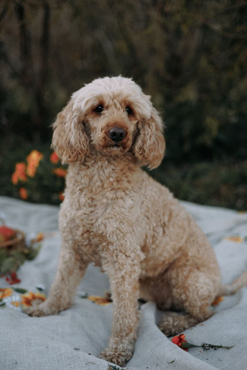 Детские уличные съёмки. Фотограф в Благовещенске Ксения Афанасьева