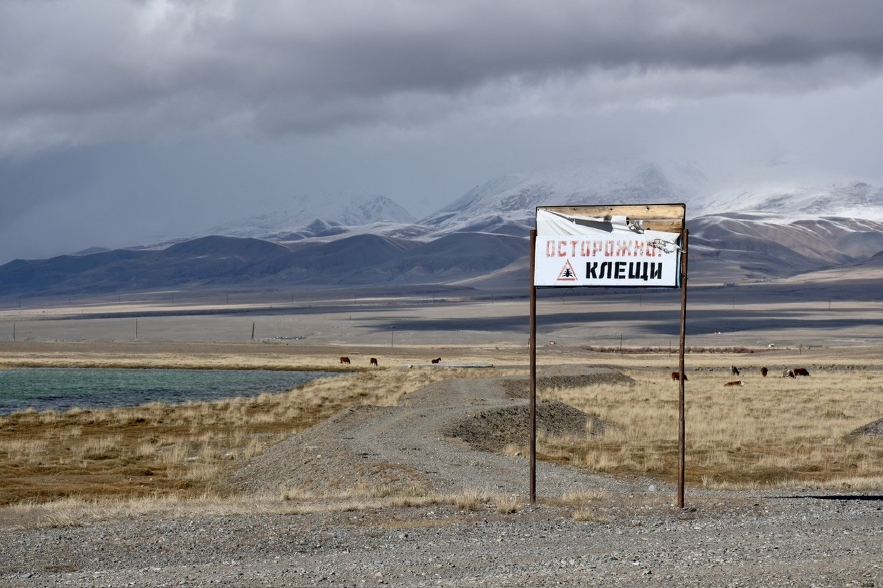 Алтай. Фотограф Евгений Андреев