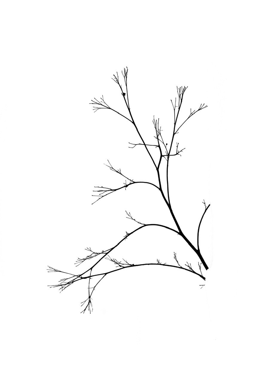 Реальная геометрия. Фотограф Евгений Андреев