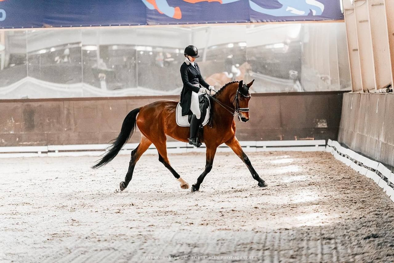 ВЕСЕННИЙ КУБОК КСК «УРОЖАЙ» по ВЫЕЗДКЕ на призы ФСОП «РОССИЯ», II этап. Конный фотограф Куракина Дарья • Фотосессии с лошадьми