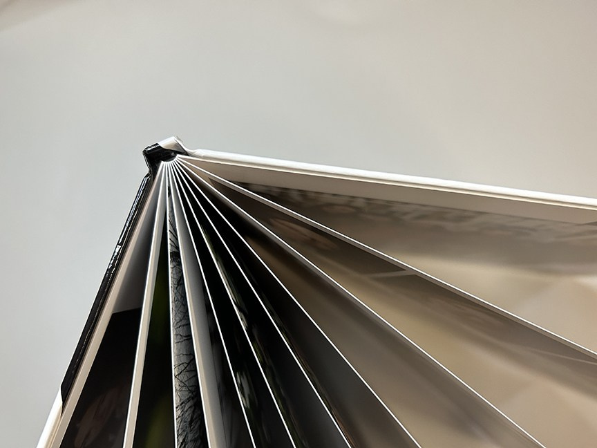 Выпускной фотоальбом для средней школы. Фотограф Эллина Дар г. Улан-Удэ