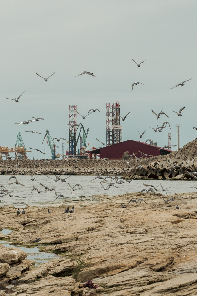 Природа. Photomantis