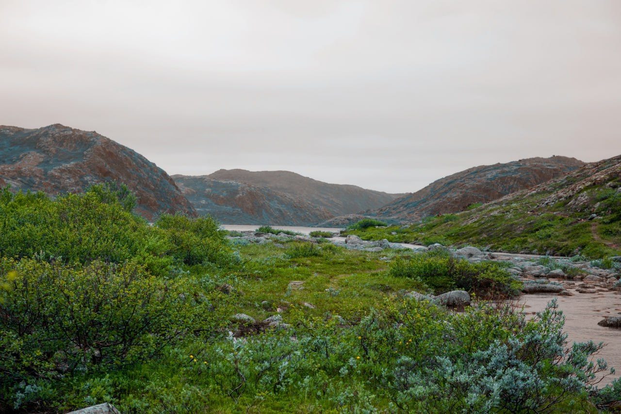 Териберка 2025. Фотограф Михаил Олейник