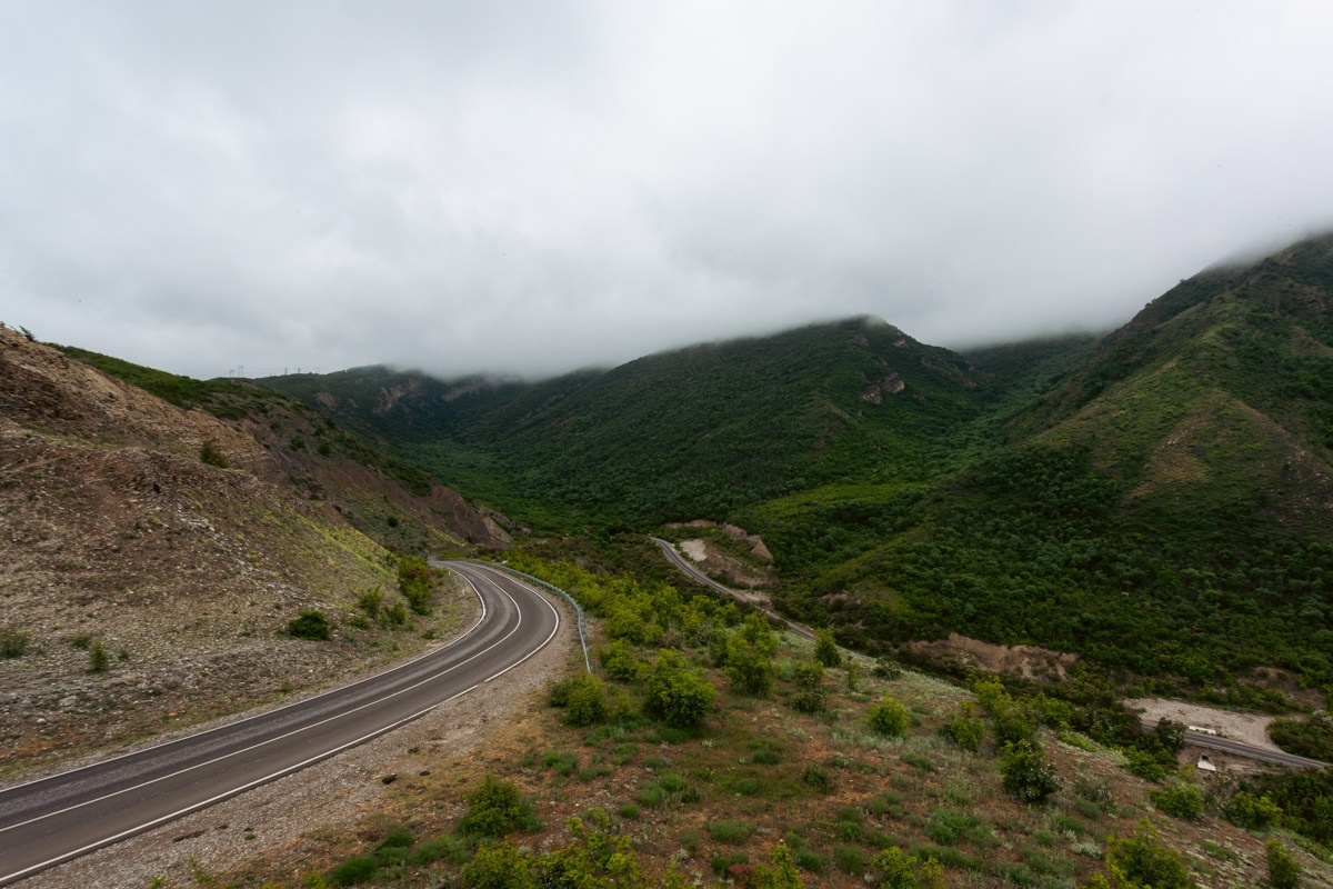 Природа. Photomantis