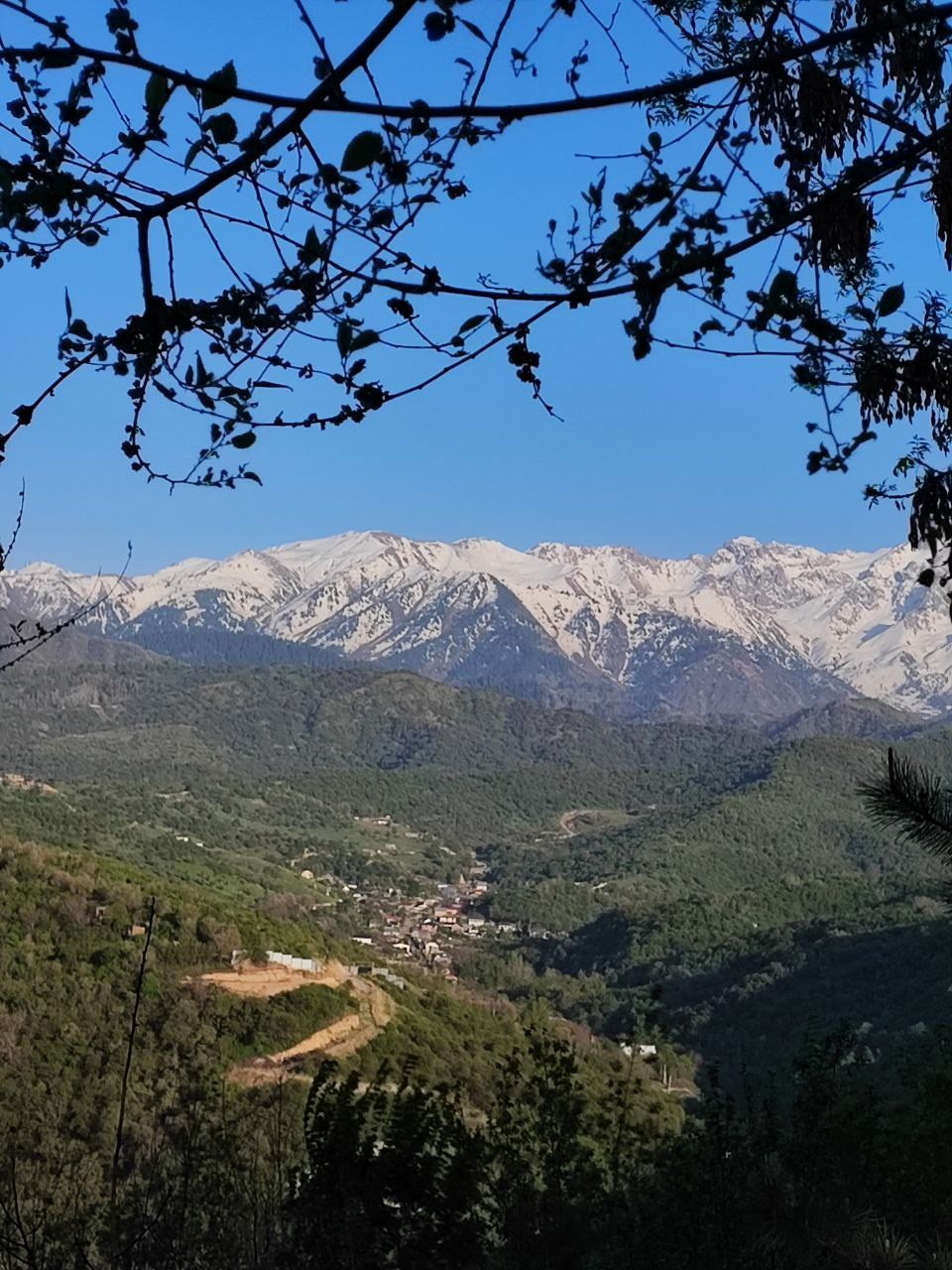 Намобилкус казахский. Репортажный фотограф Алексей Пирязев