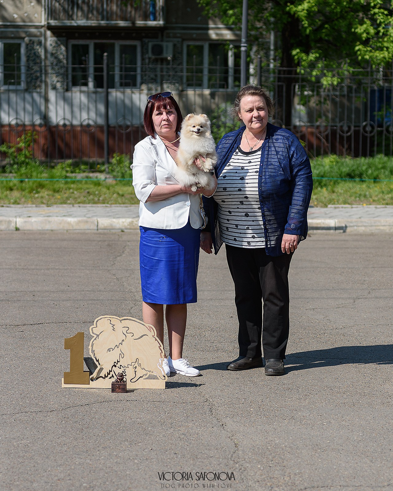 19 мая 2024 Благовещенск. Монопородная выставка шпицев. Фотограф анималист Благовещенск. Сафонова Виктория