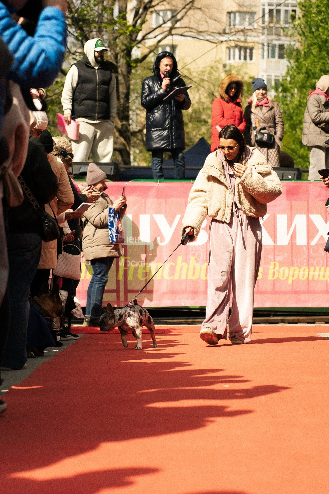 Парад Бульдогов. Axenov_eugene