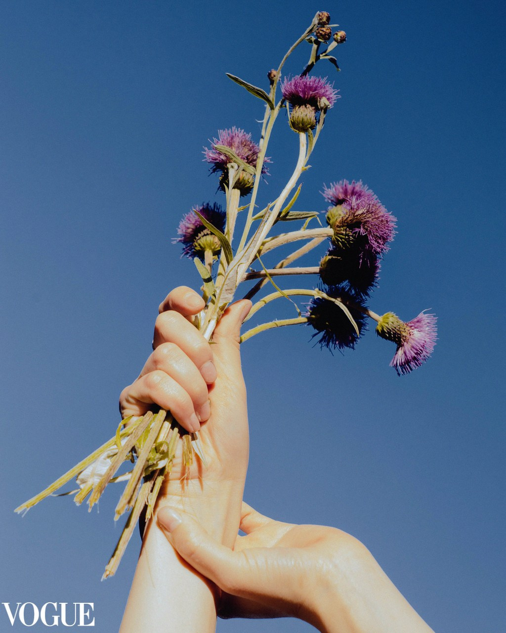 Малика Джумалеева — фотограф в Санкт-Петербурге