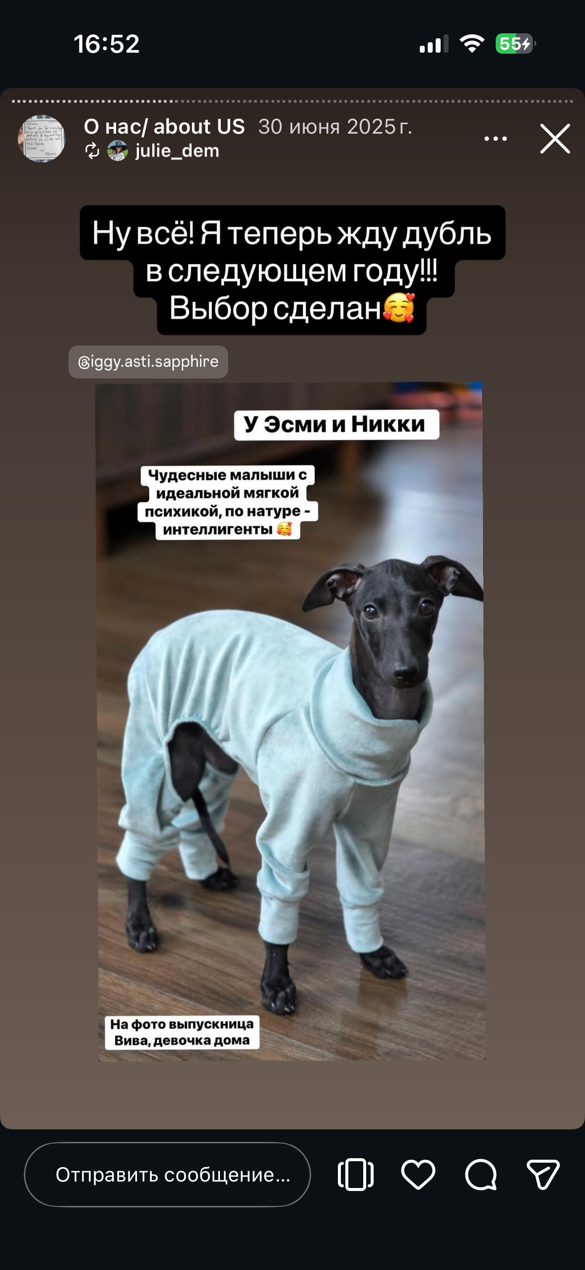 Отзывы от наших любимых владельцев. Профессиональный питомник левреток РКФ/FCI ASTI SAPPHIRE 💎 Сочи|Санкт-Петербург