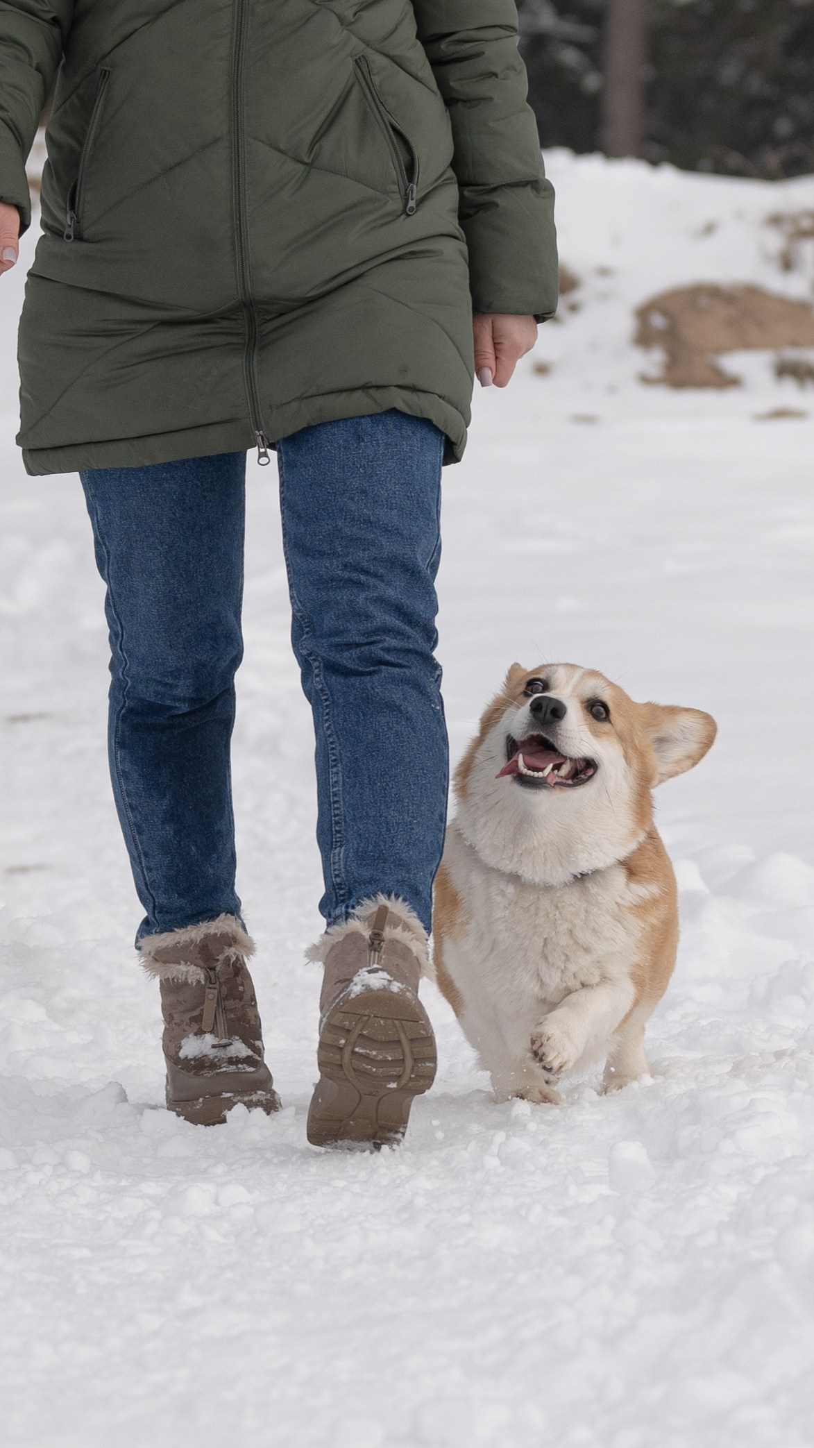 Вы и ваши питомцы. Фотограф в Санкт-Петербурге Александра Ладыгина