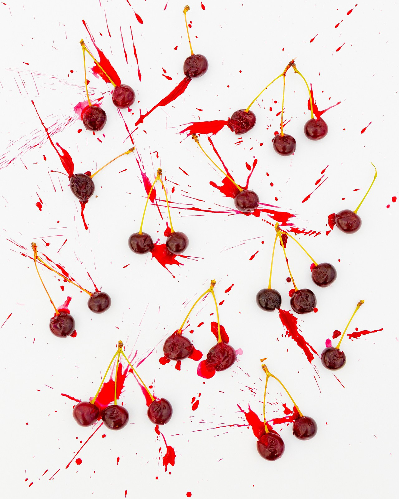 Условная ботаника. Фотографии Саши Любина