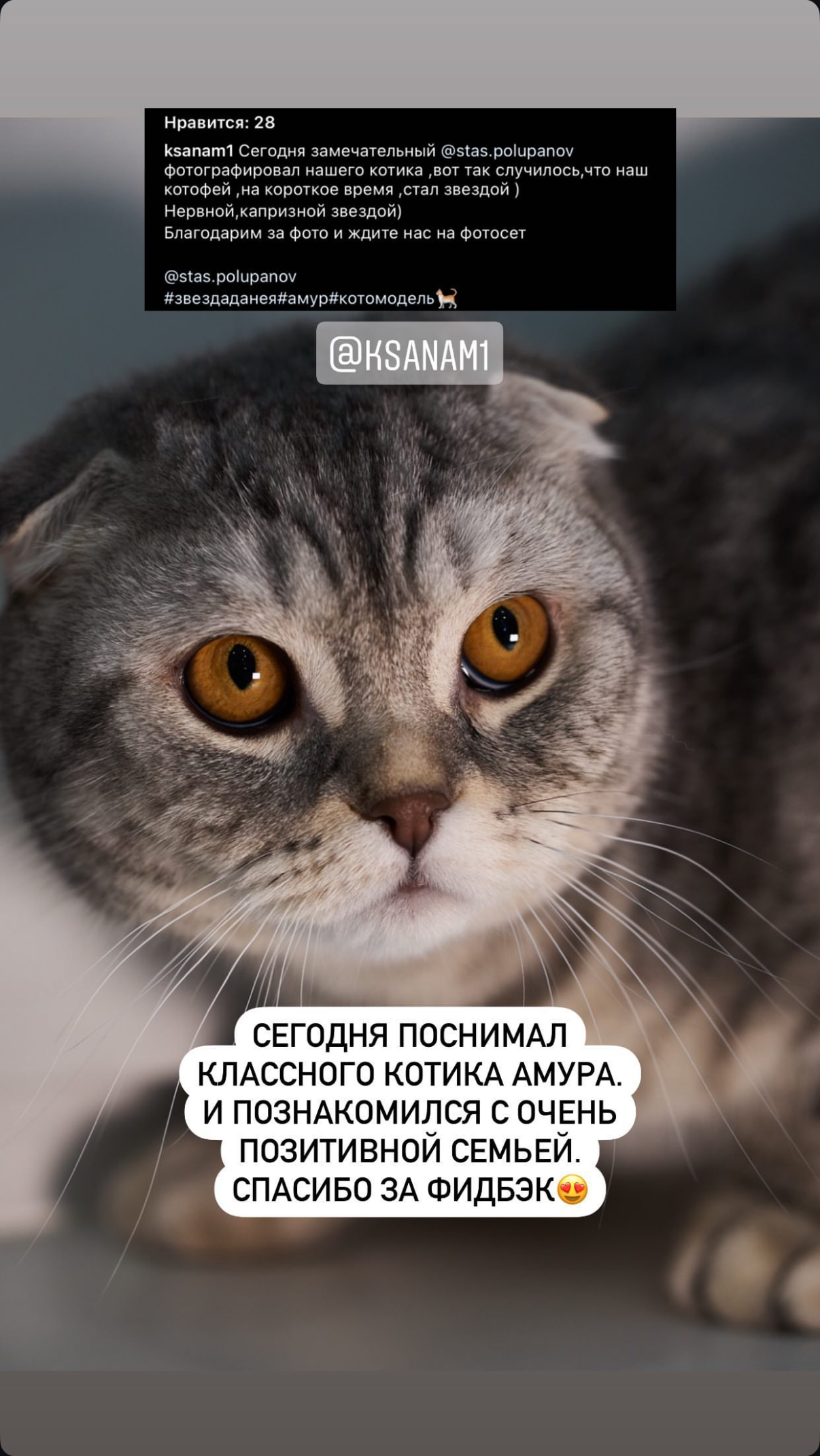 Отзывы. Станислав Полупанов — Фотосессия Томск